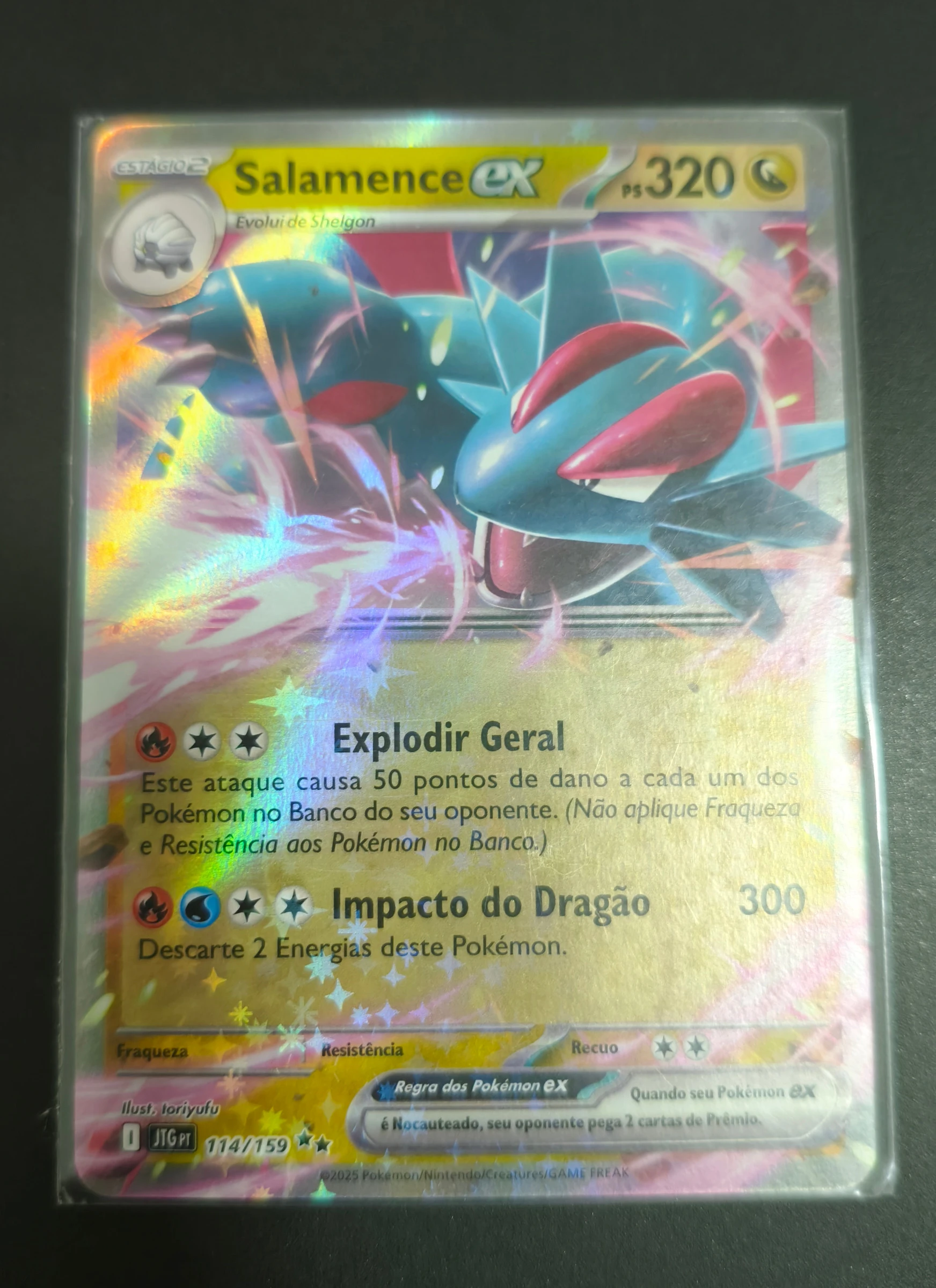 Salamence ex (Amigos de Jornada #114) frente