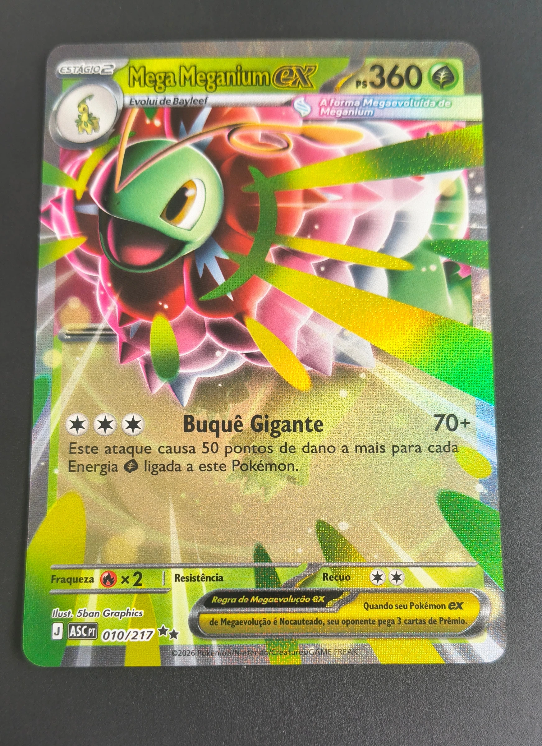 Mega Meganium ex (Heróis Excelsos #010) frente