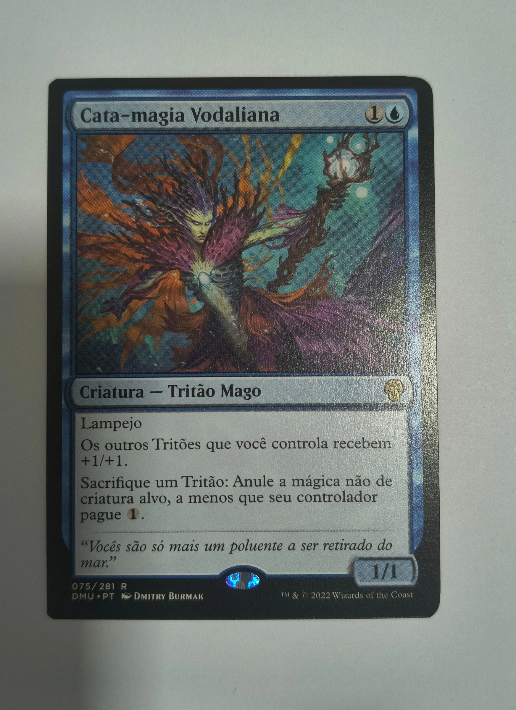 Cata-magia Vodaliana frente